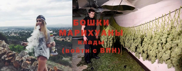 прущие грибы Алзамай