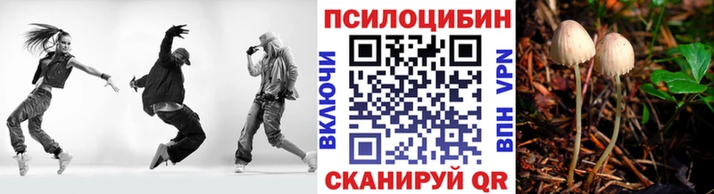 купить наркотики цена Ак-Довурак кракен tor Псилоцибиновые грибы Psilocybe
